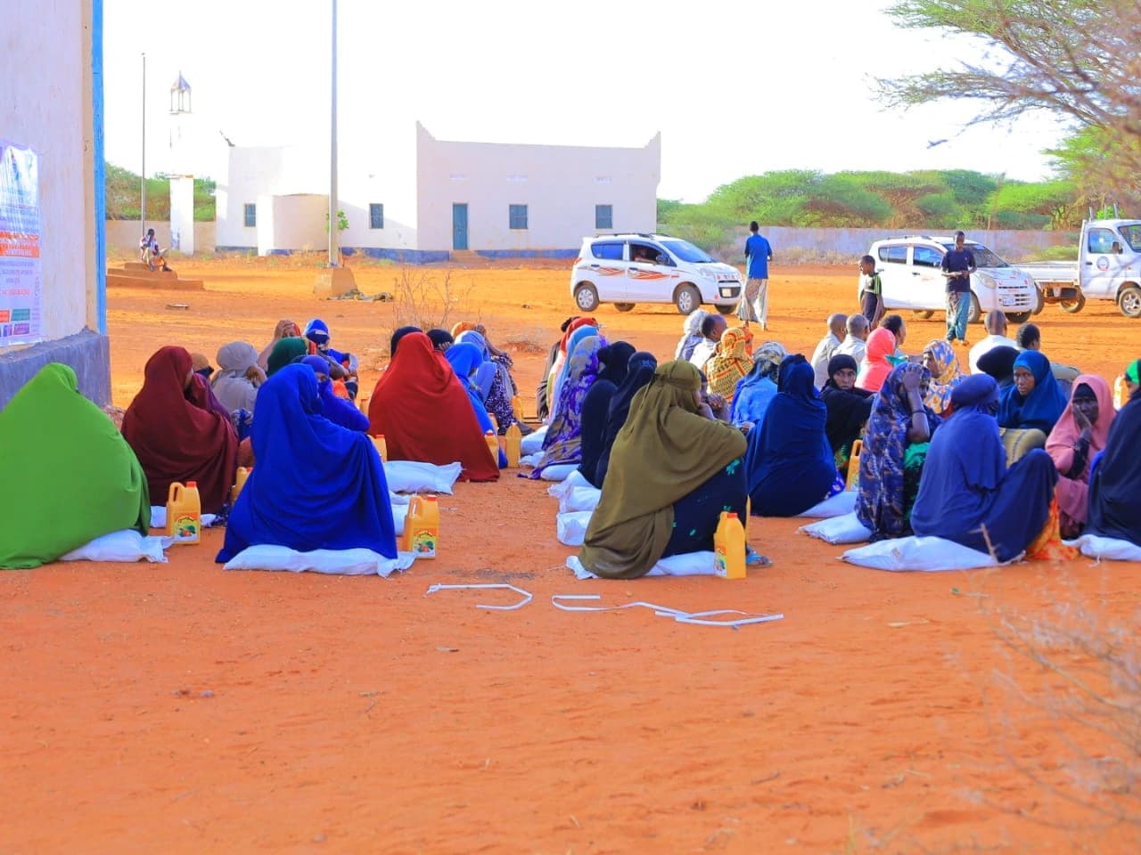 Our Programs